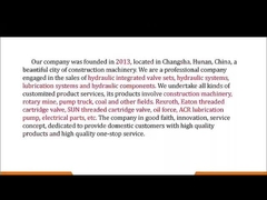 VBCD.3-8 DE-FL Sany Peças de bomba de concreto válvula de equilíbrio ajustável para distribuição de fluxo ideal